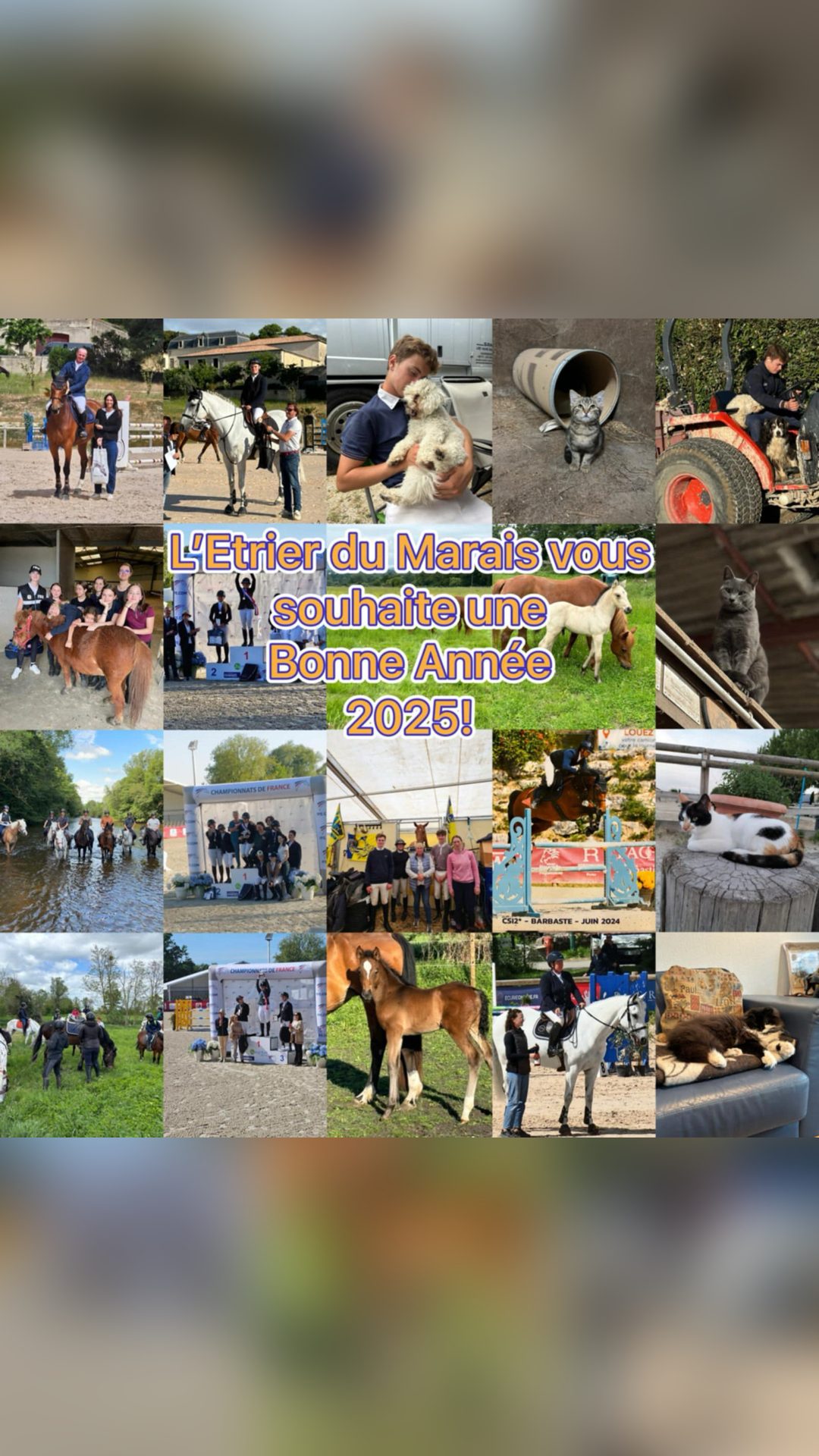 Moniteur d’équitation, média 2