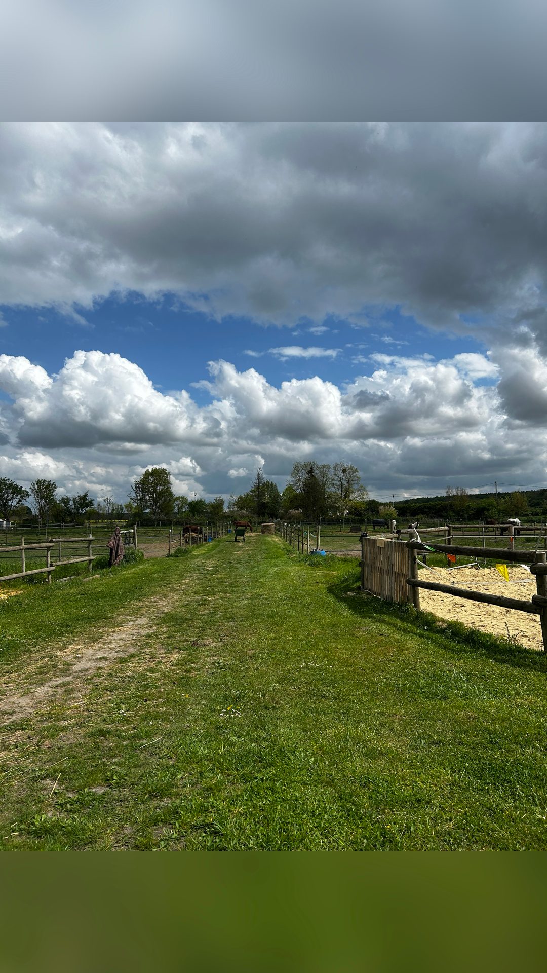 Location écurie, média 2