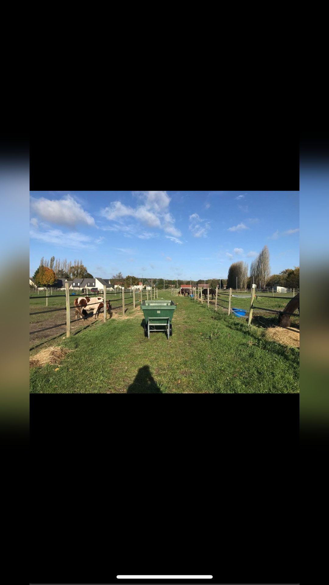 Location écurie, média 3