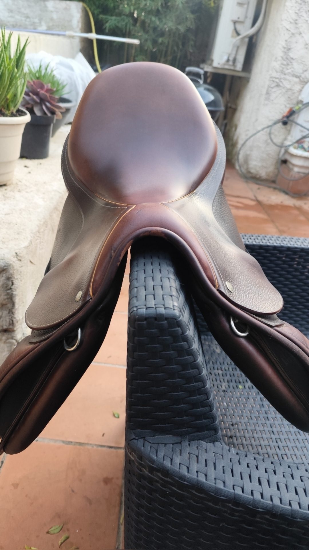 Selle Childéric, média 2