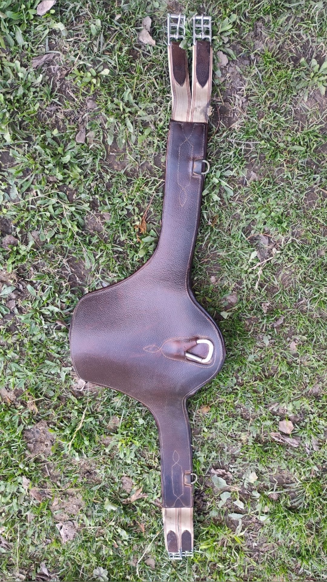 Selle Childéric, média 5