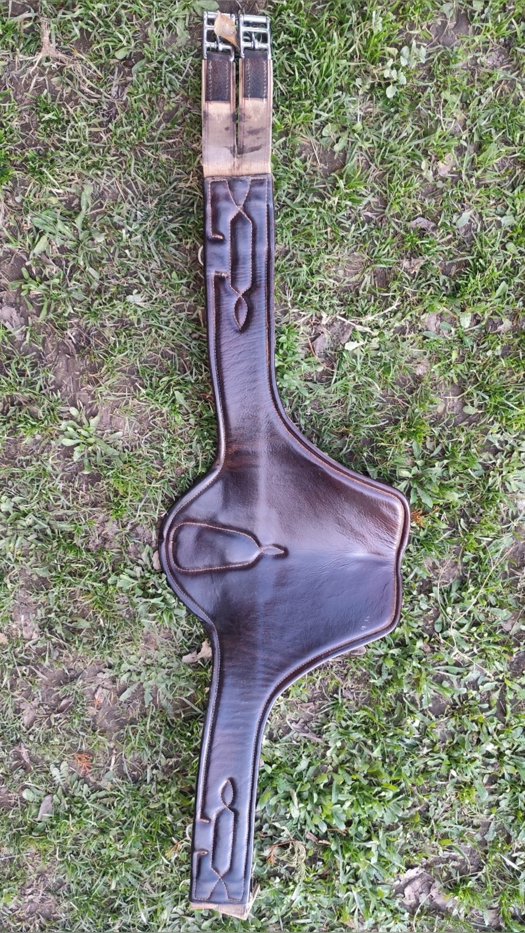 Selle Childéric, média 6