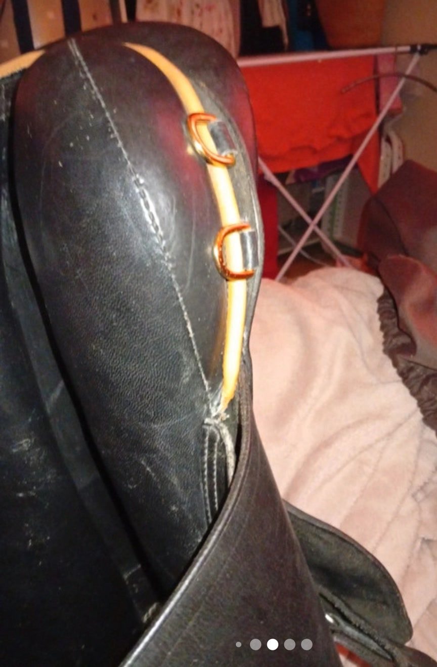 Selle  mixe a vendre, média 4
