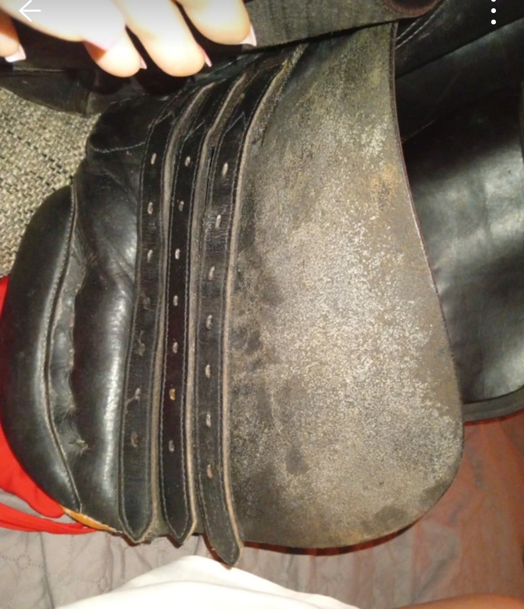 Selle  mixe a vendre, média 6