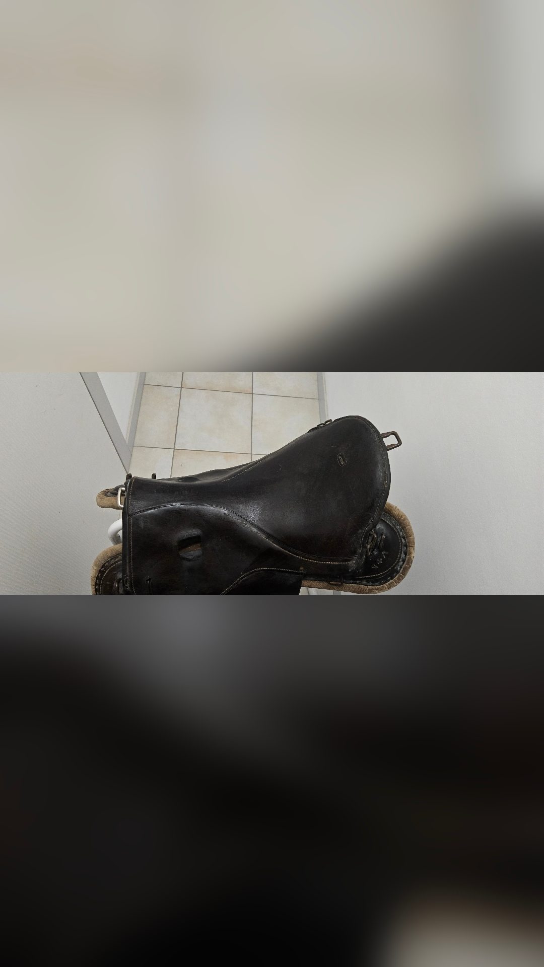 Selle d'arme Suisse, média 3