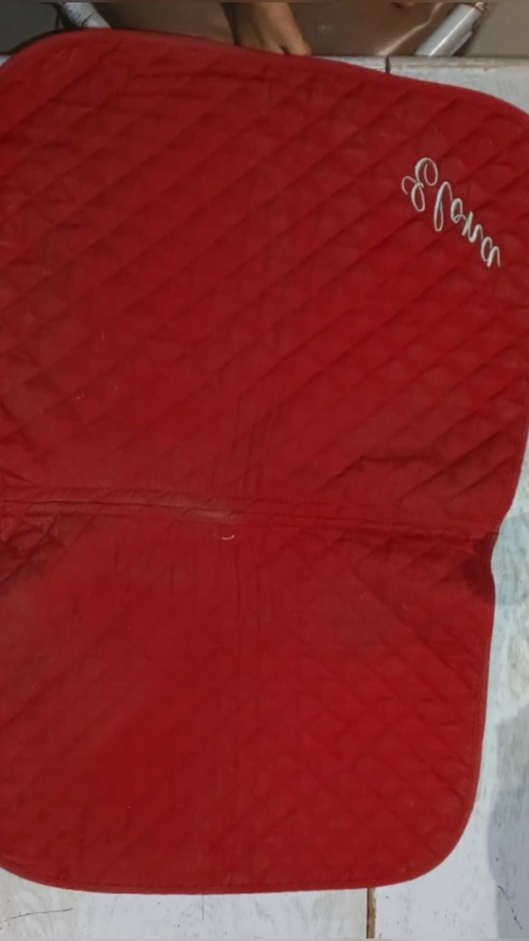Tapis rouge écrit Elona, média 5