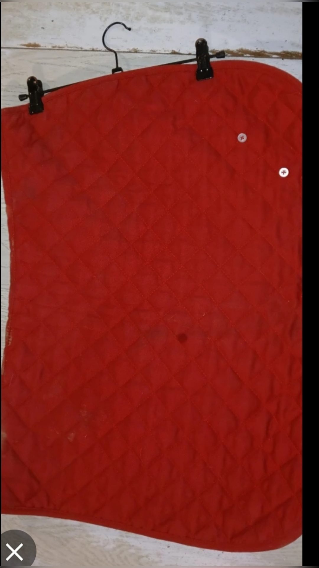 Tapis rouge écrit Elona, média 4