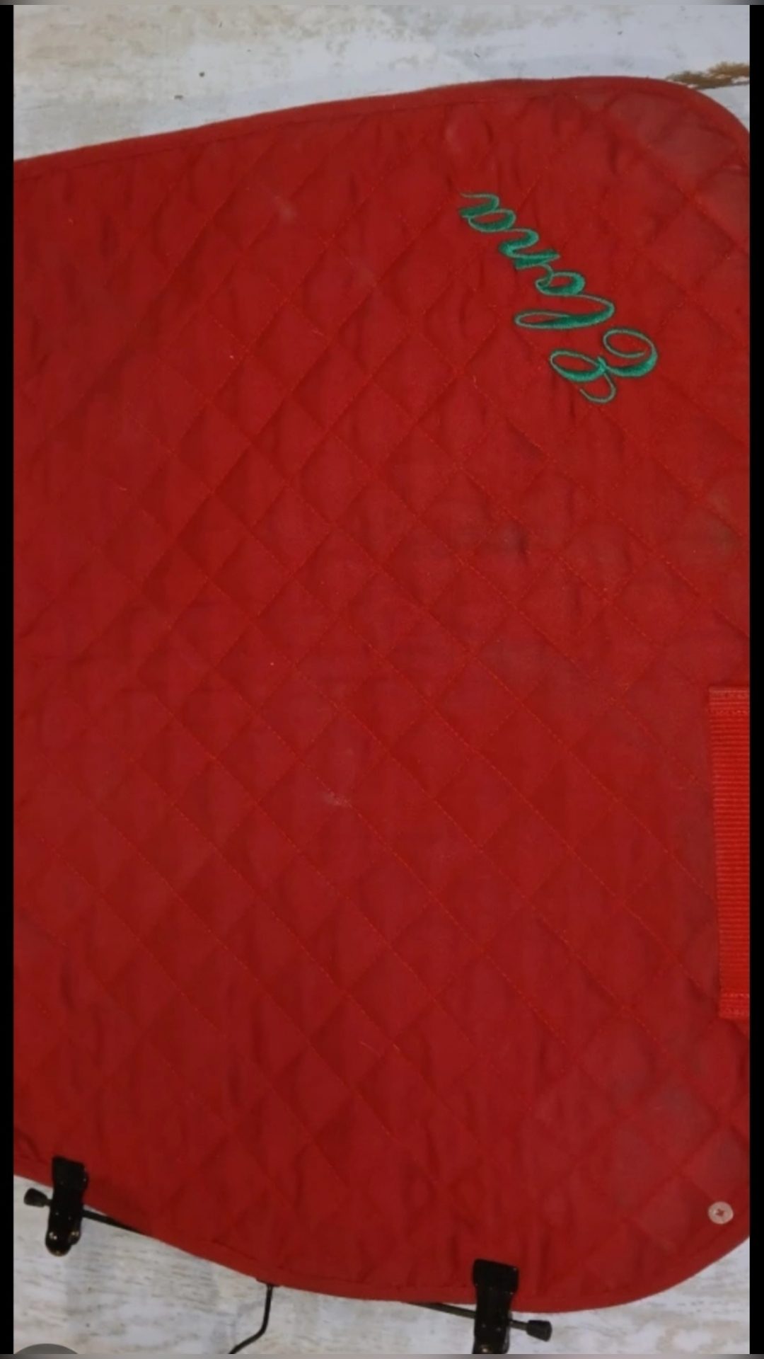 Tapis rouge écrit Elona, média 8
