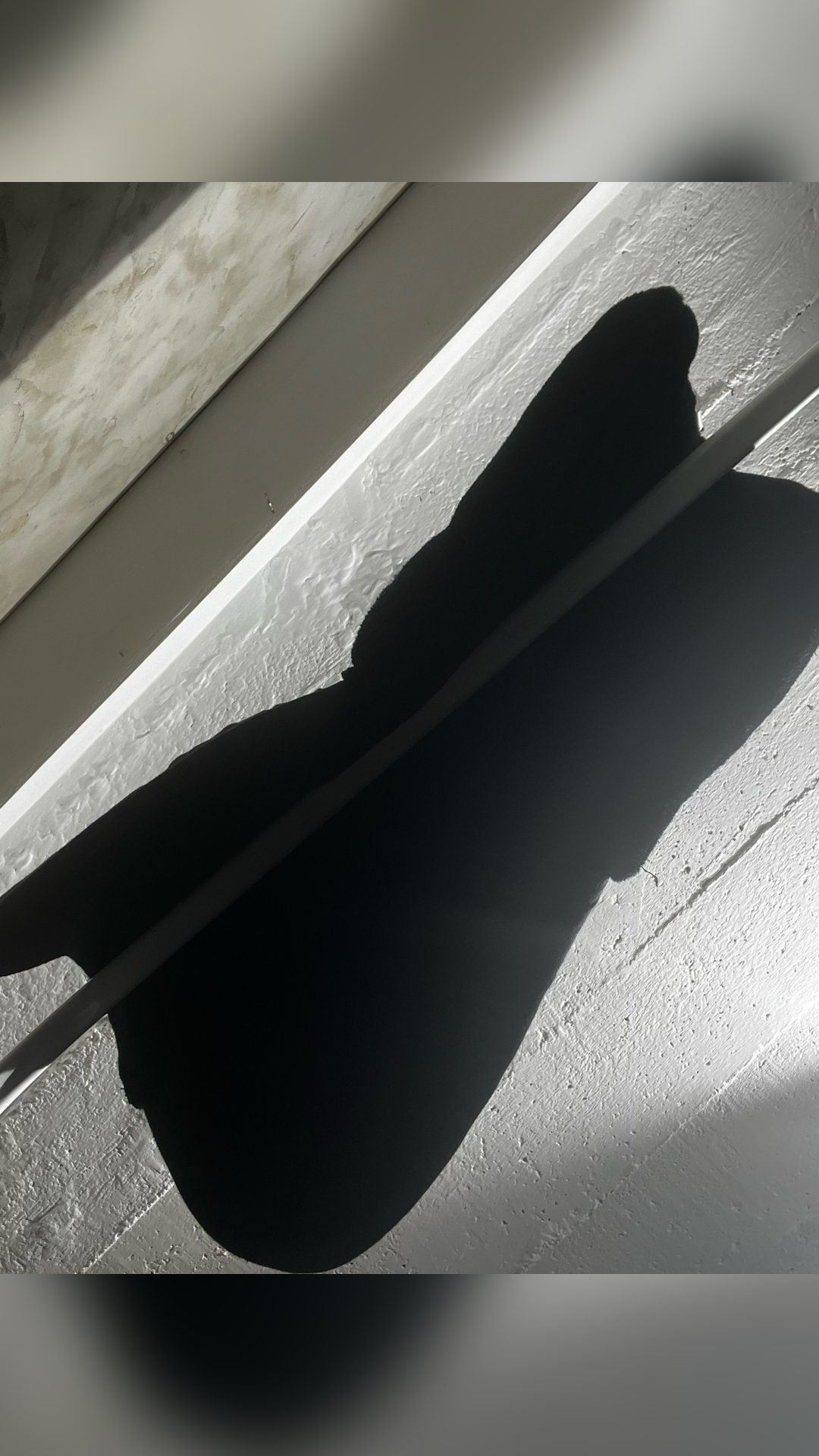 Amortisseur taille cheval noir, média 5