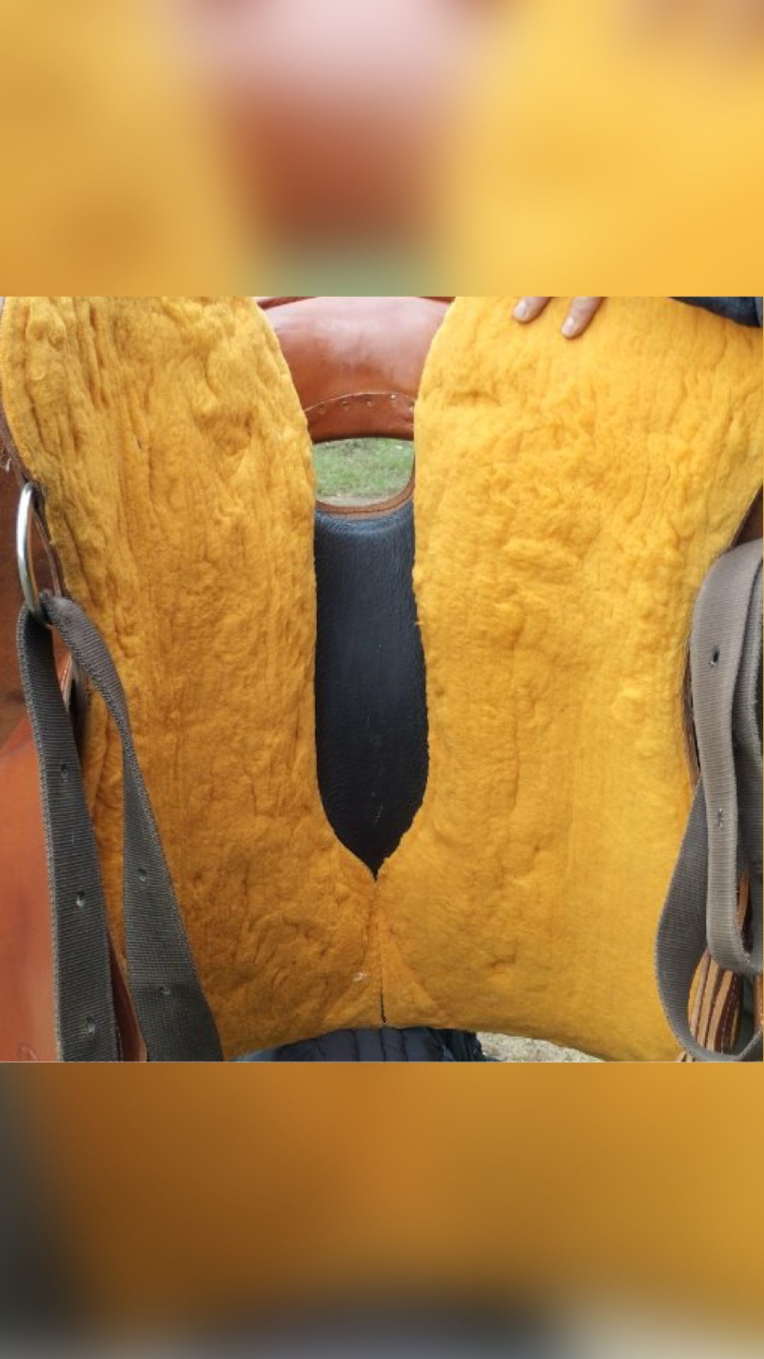 Selle western, média 4