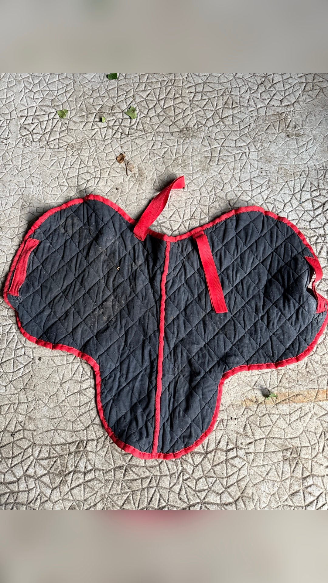 Tapis de selle, média 2