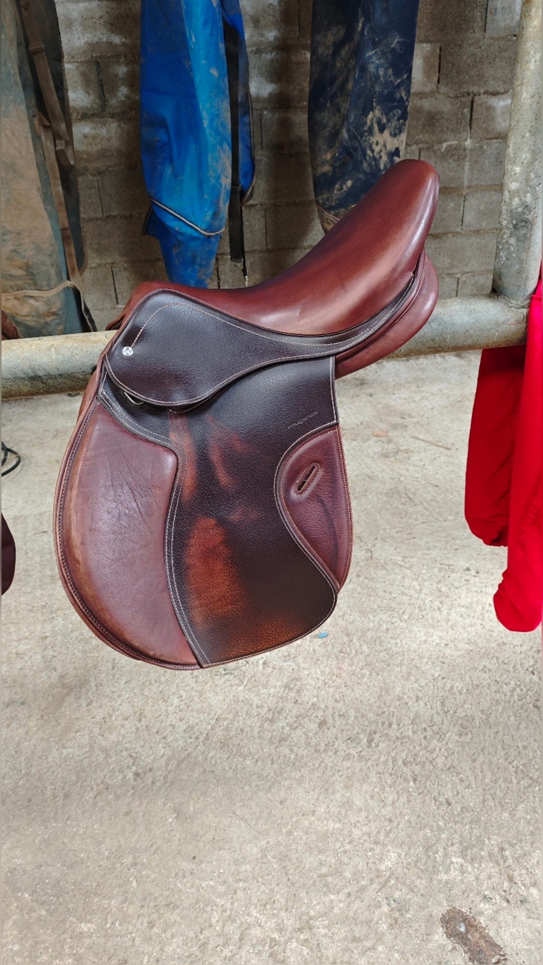 Selle Romeo, média 2