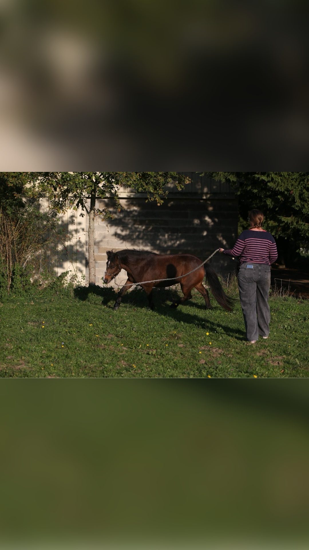 INVICTA LA CHAUSSEE, média 4