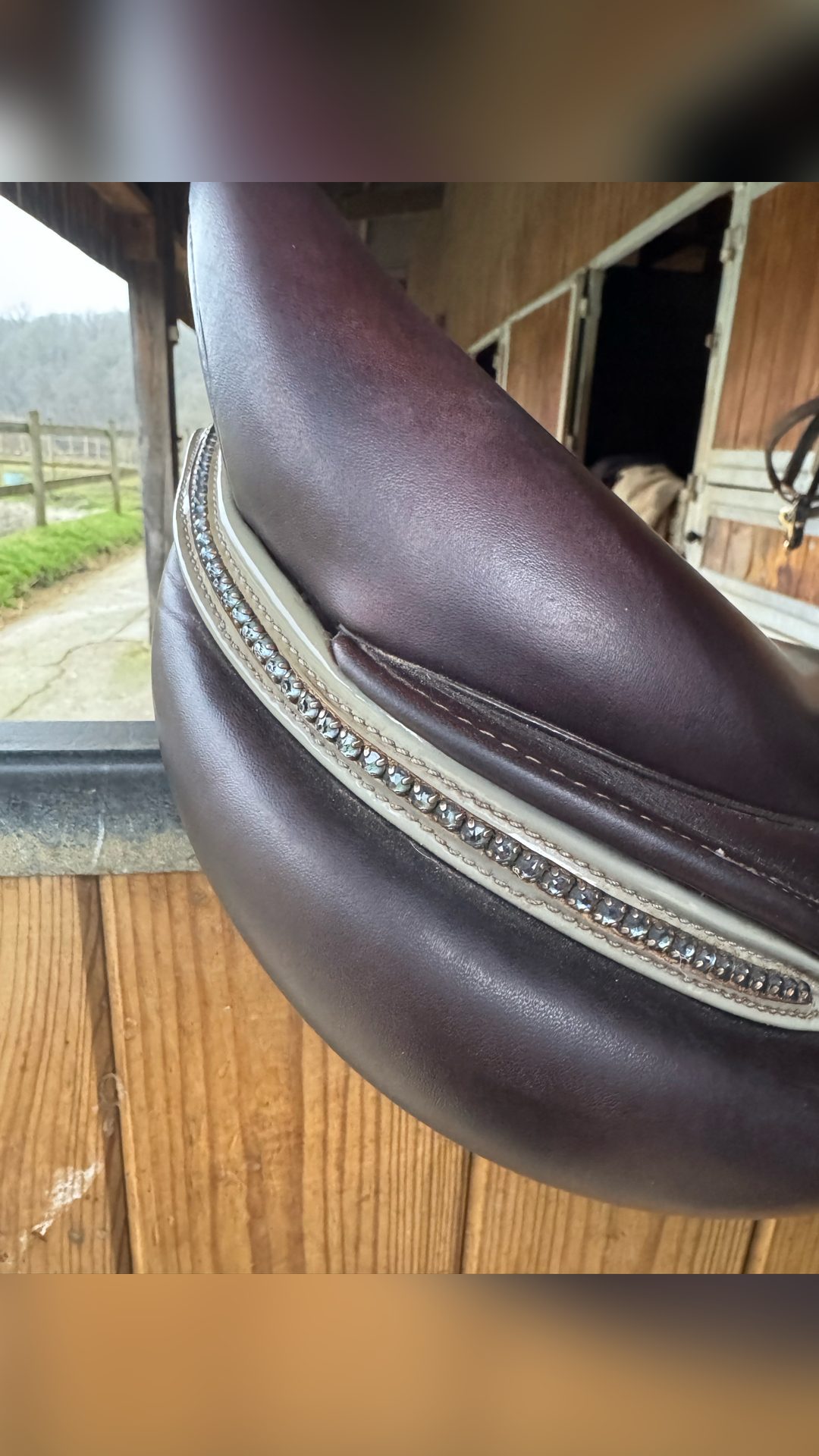 Selle Infinity Platinium sellier 17,5, média 3