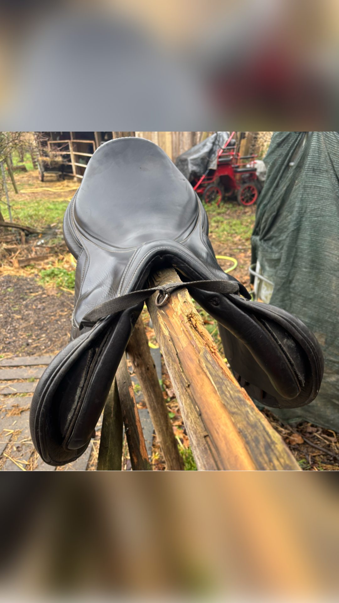 Selle mixte Acavallo, média 2