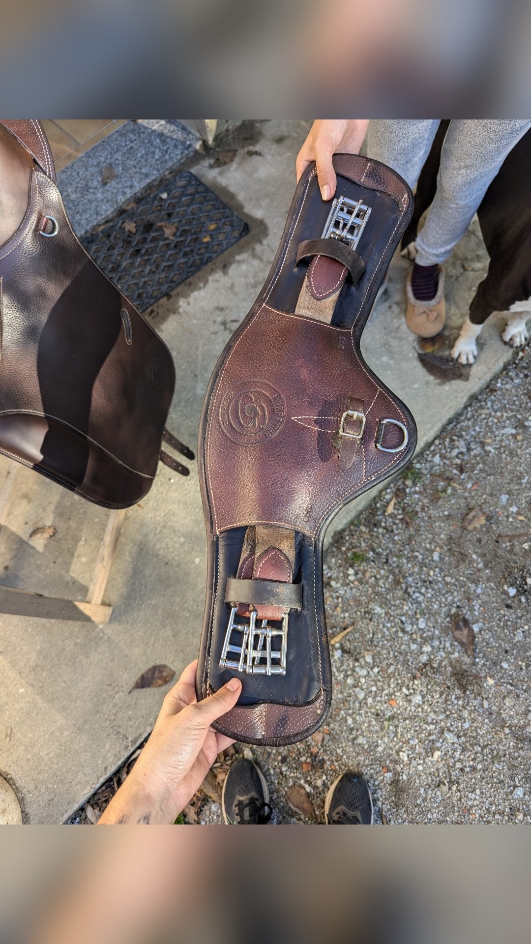 Selle Forestier TREC, média 2