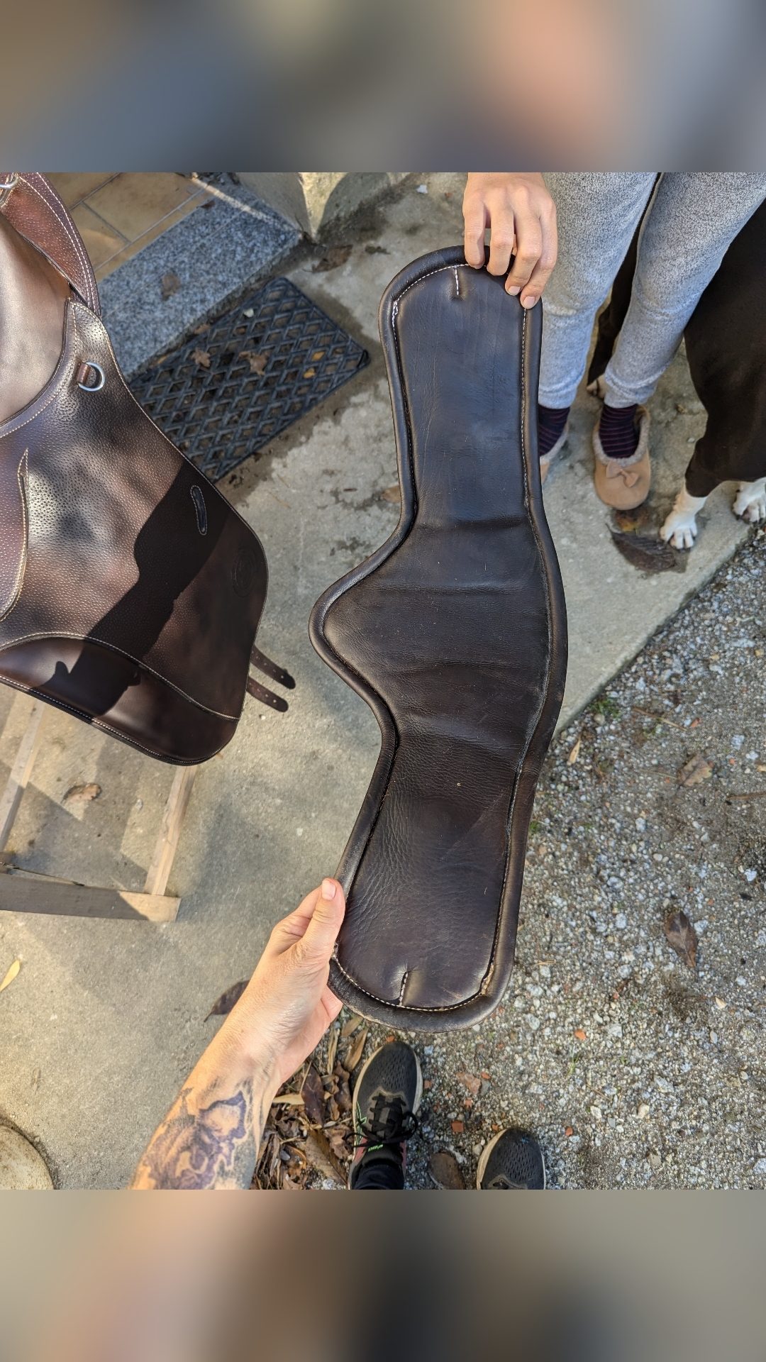Selle Forestier TREC, média 9