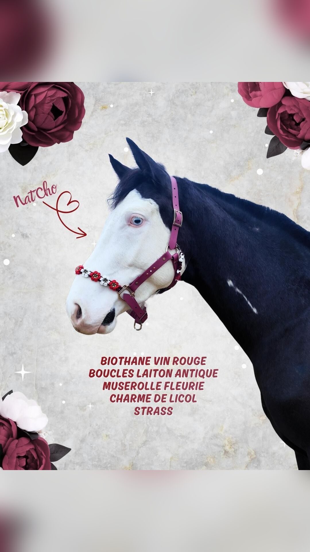 Licol biothane fleuri, média 4