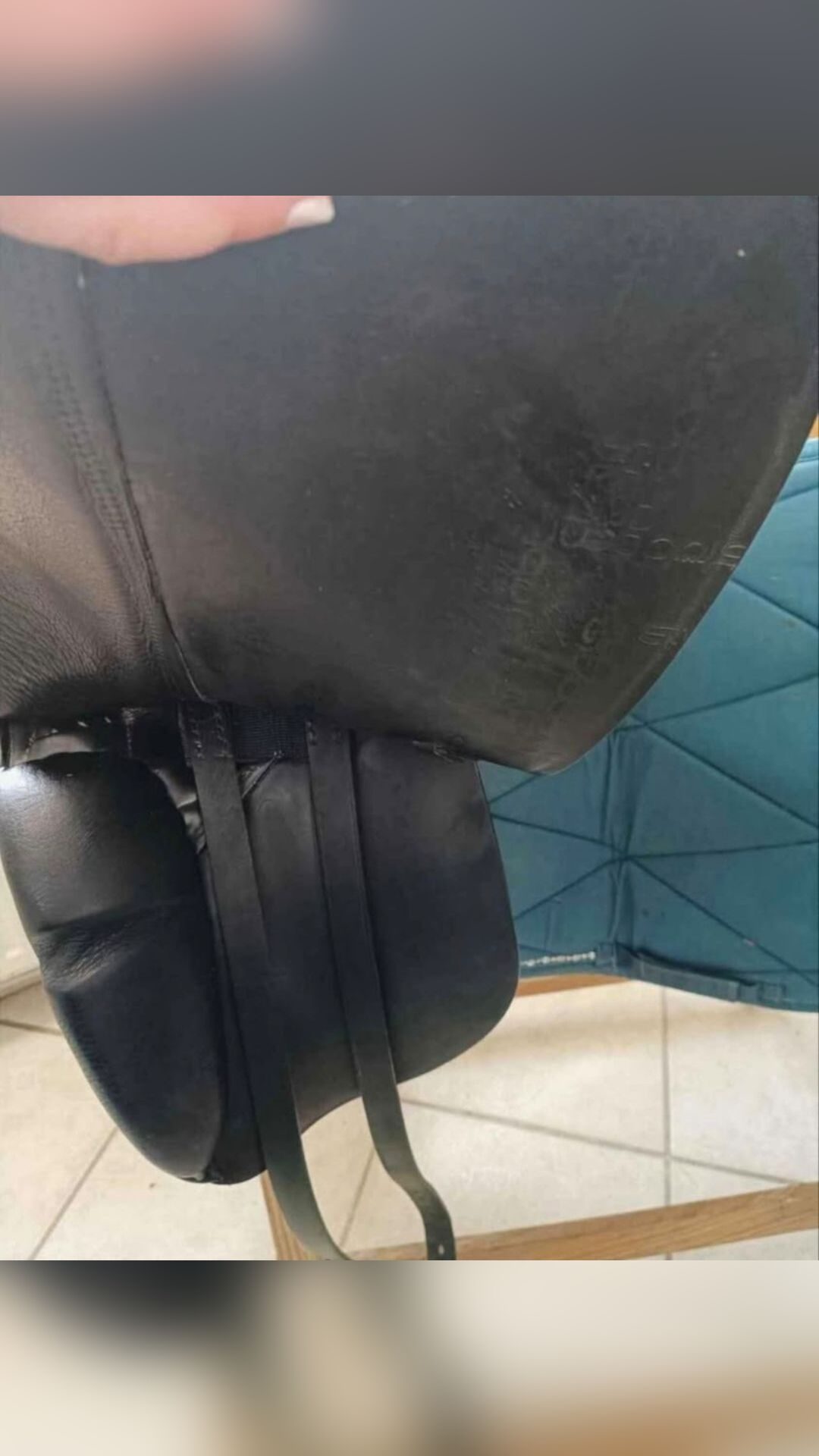 Selle dressage, média 7