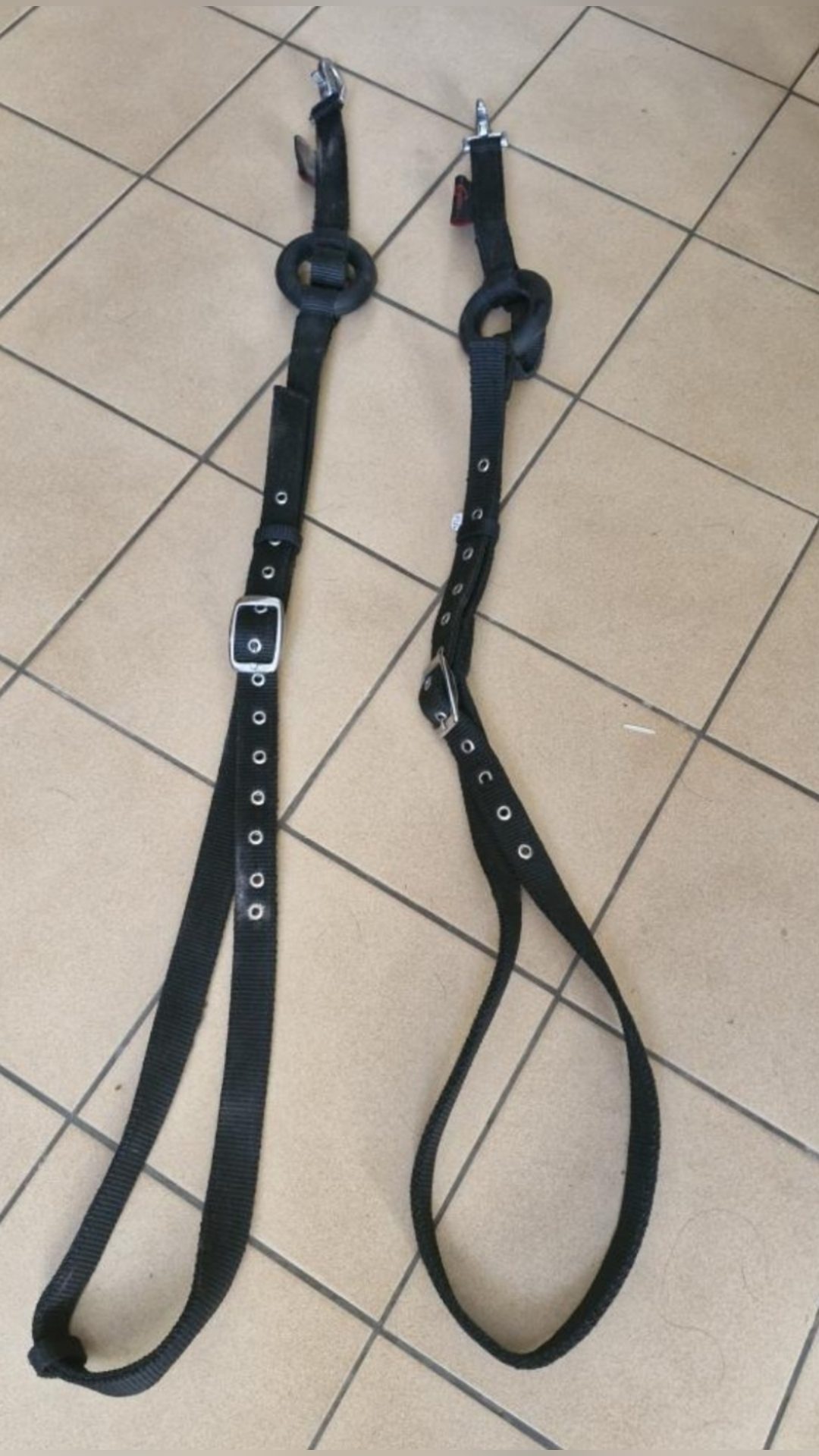 Enrênement élastique Covalliero, média 2