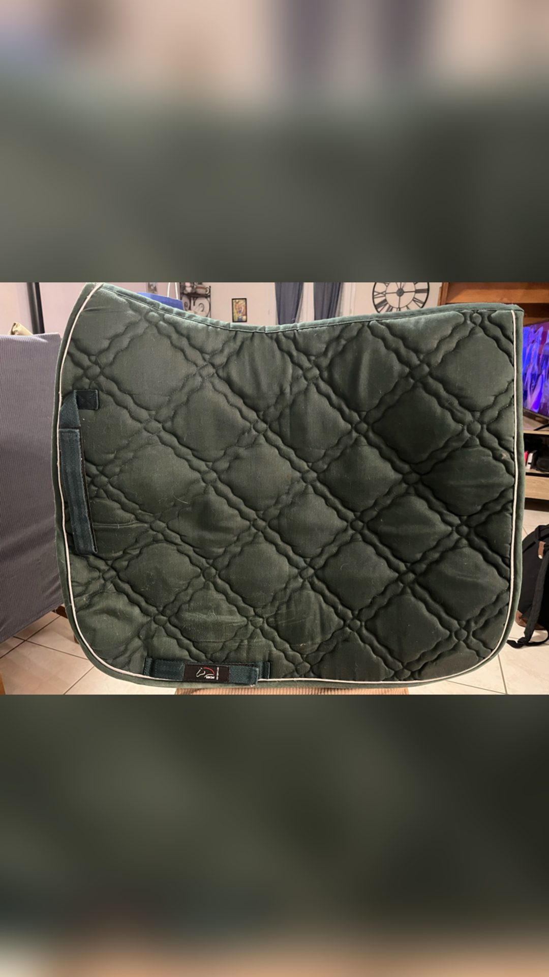Tapis dressage taille cheval, média 2