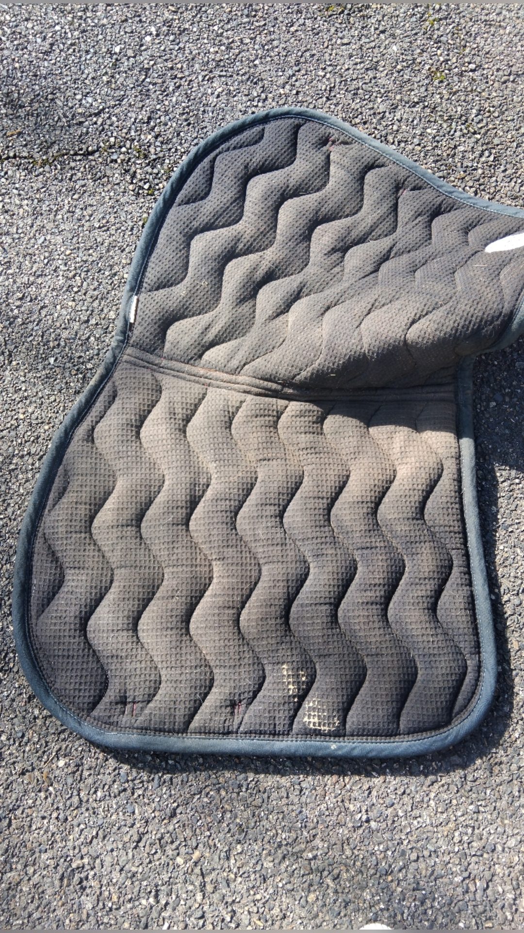 Tapis cheval, média 3