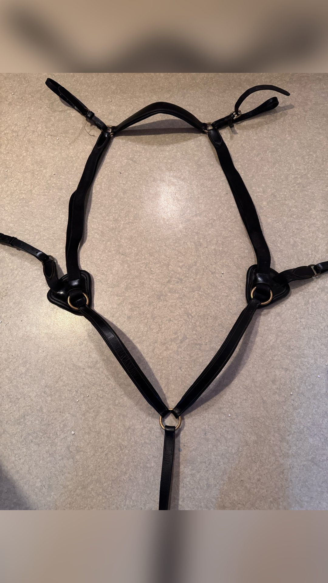 Collier de chasse 5 points, média 2