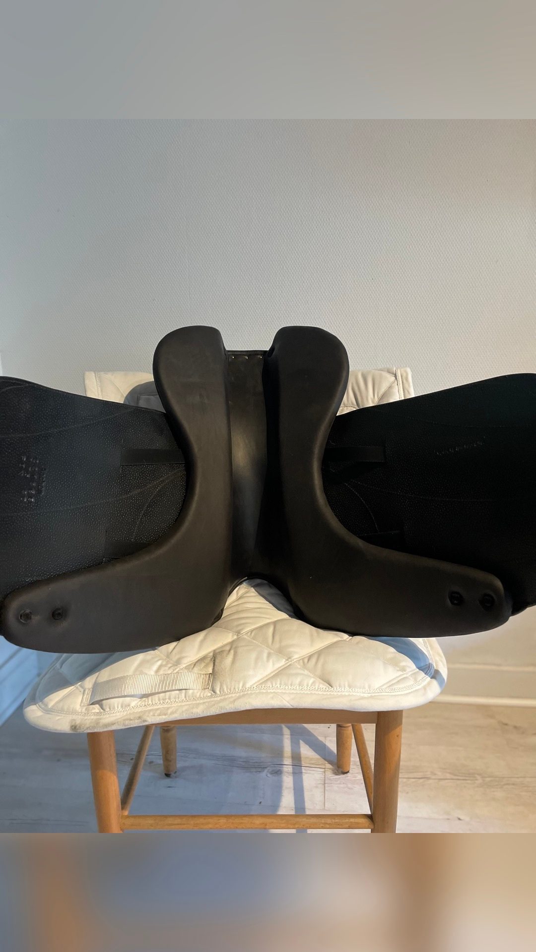 Selle Forestier Aachen de dressage, média 5