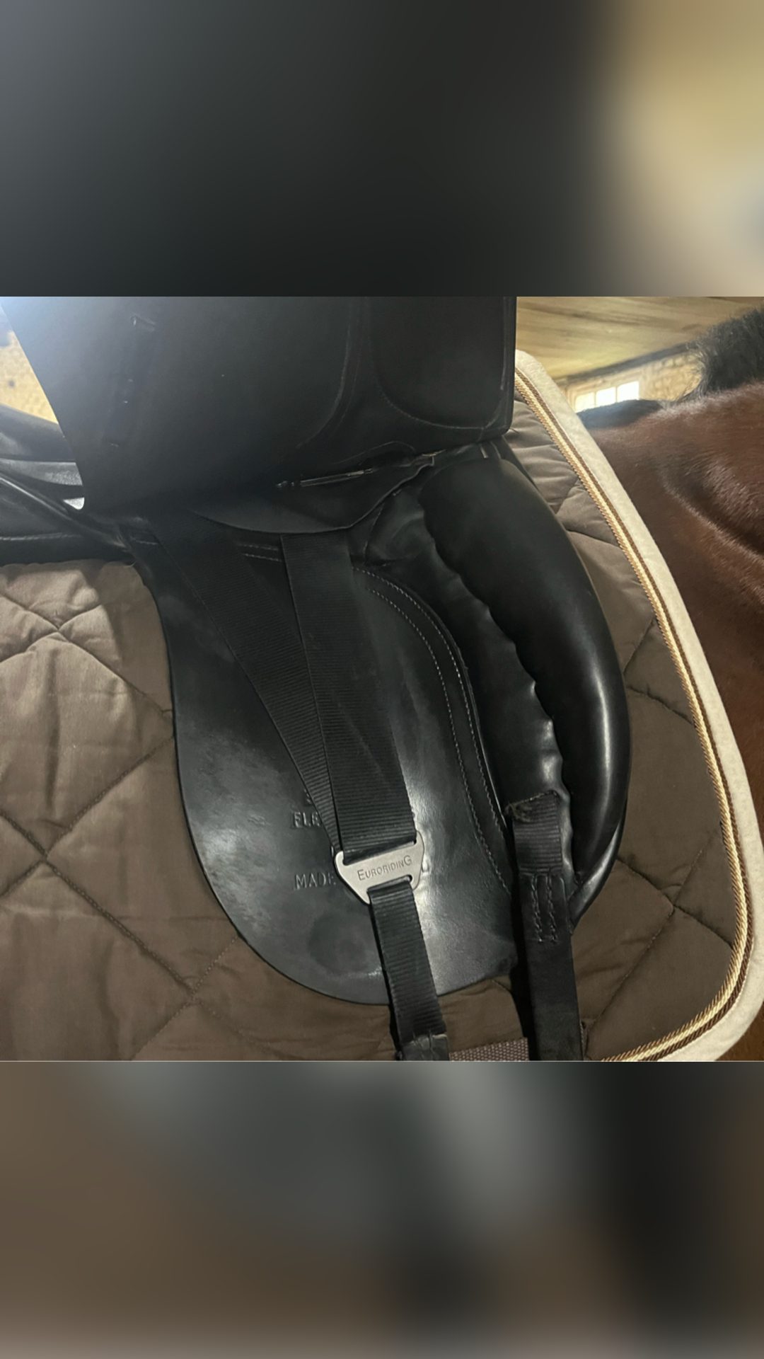 Selle dressage, média 2