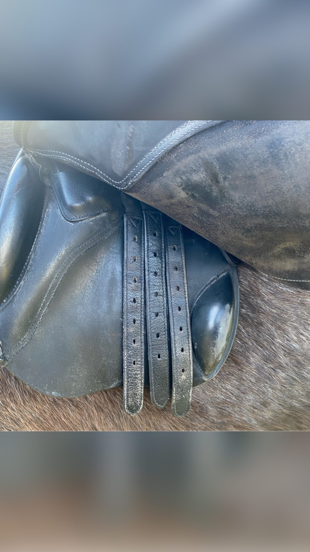 À vendre selle, média 3