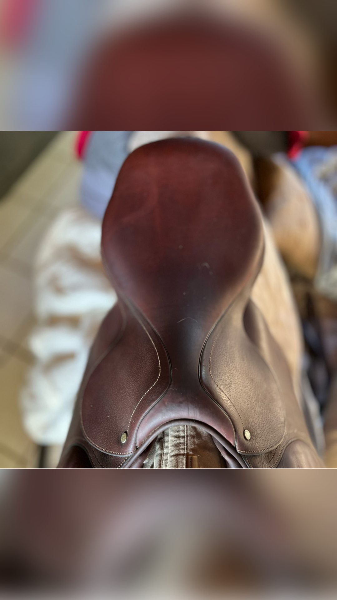 Selle Antarès Spooner, média 3