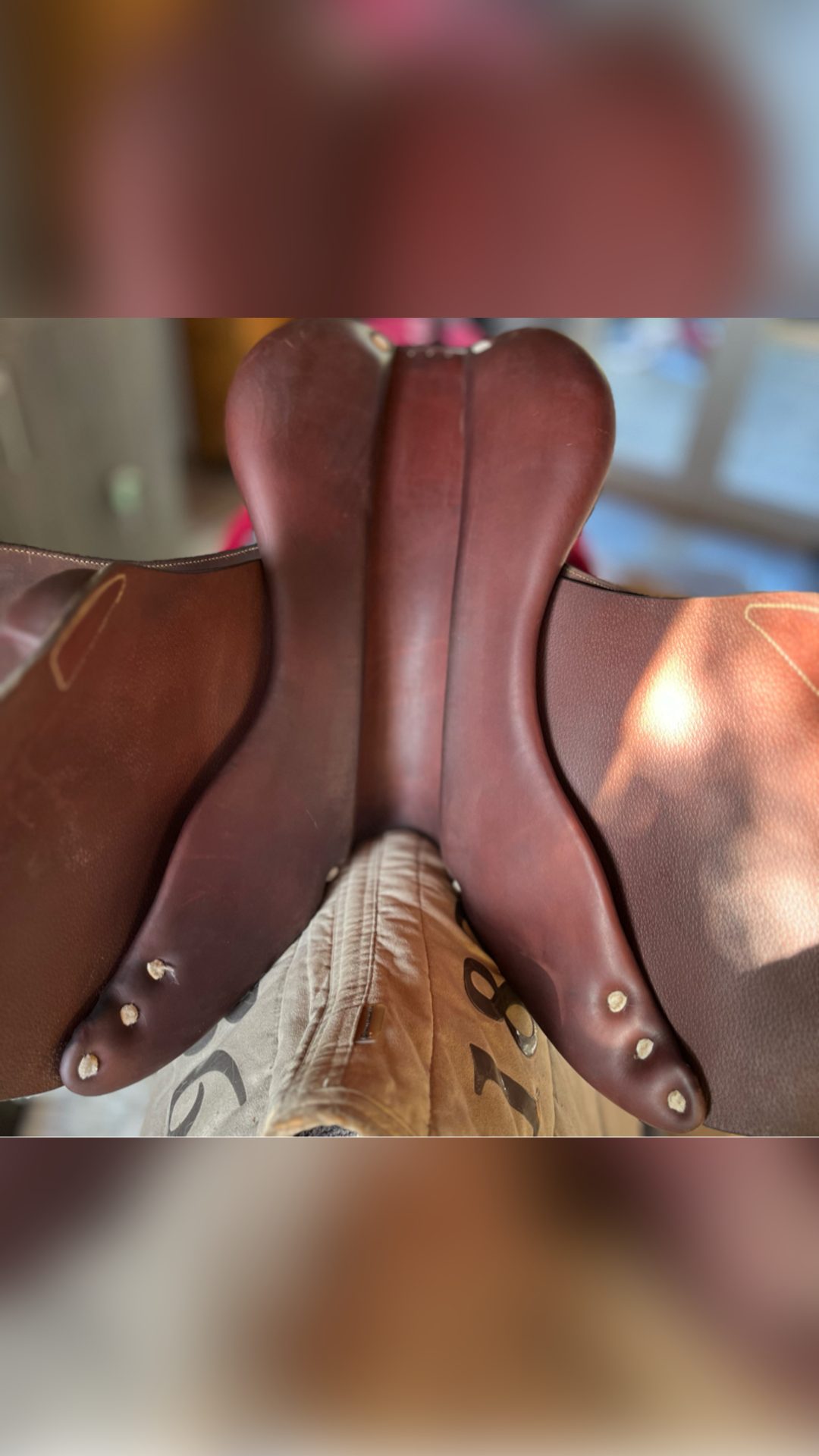 Selle Antarès Spooner, média 4