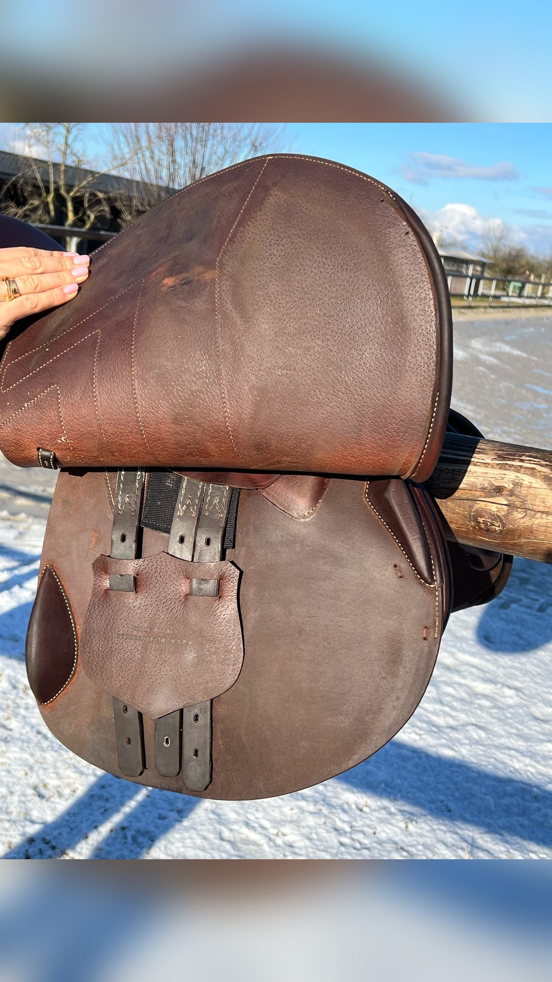 Selle Renaissance, média 6