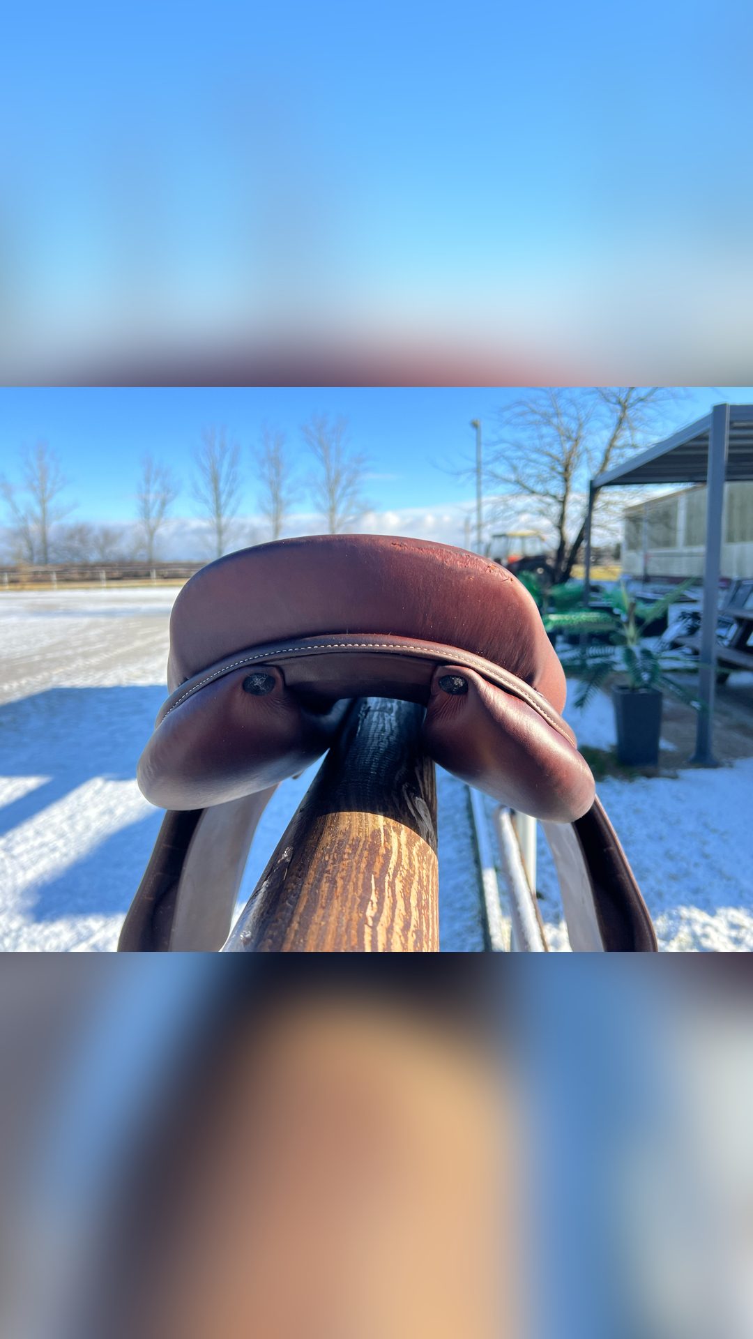 Selle Renaissance, média 4