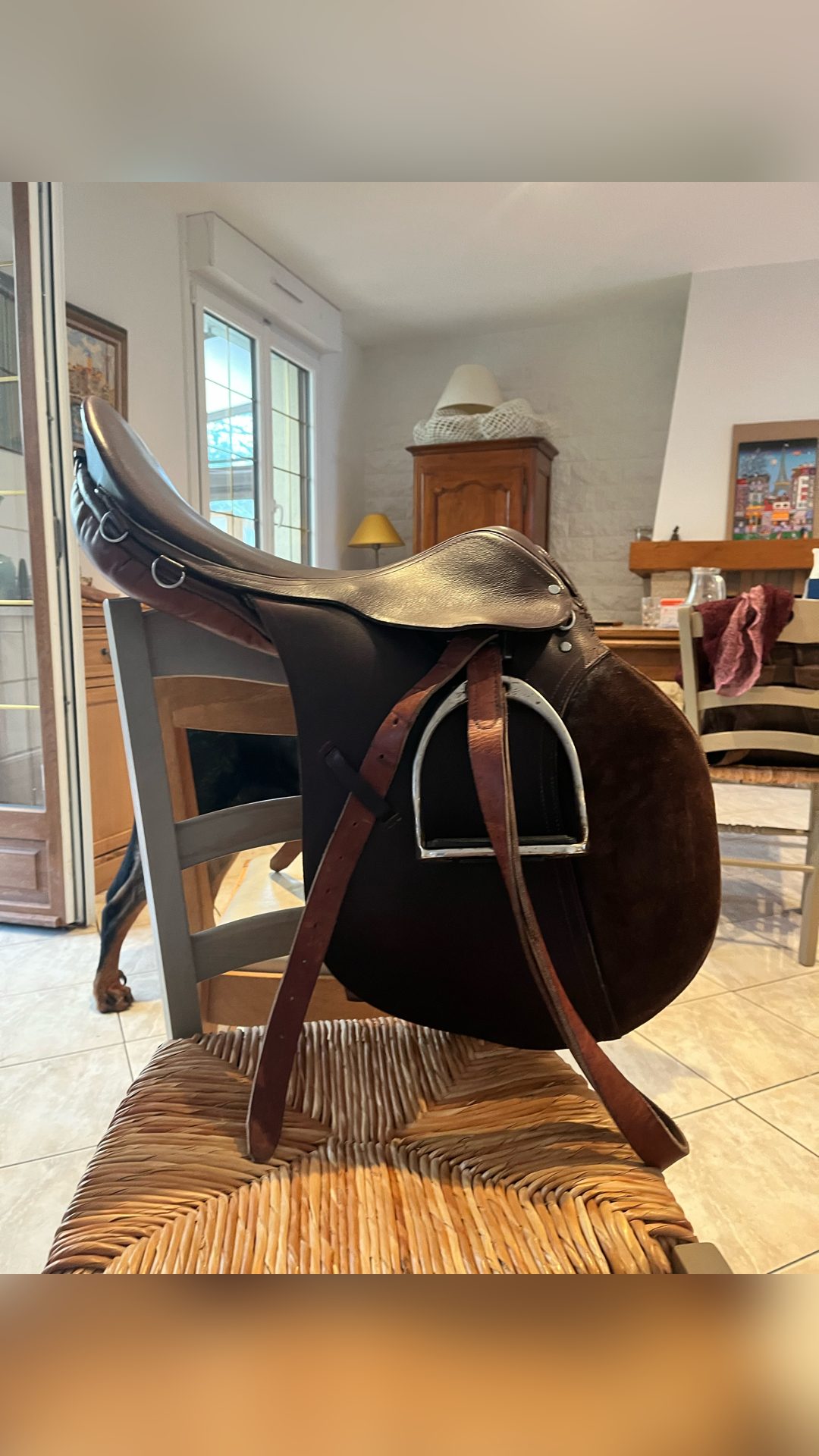 Selle mixte taille 18, média 4