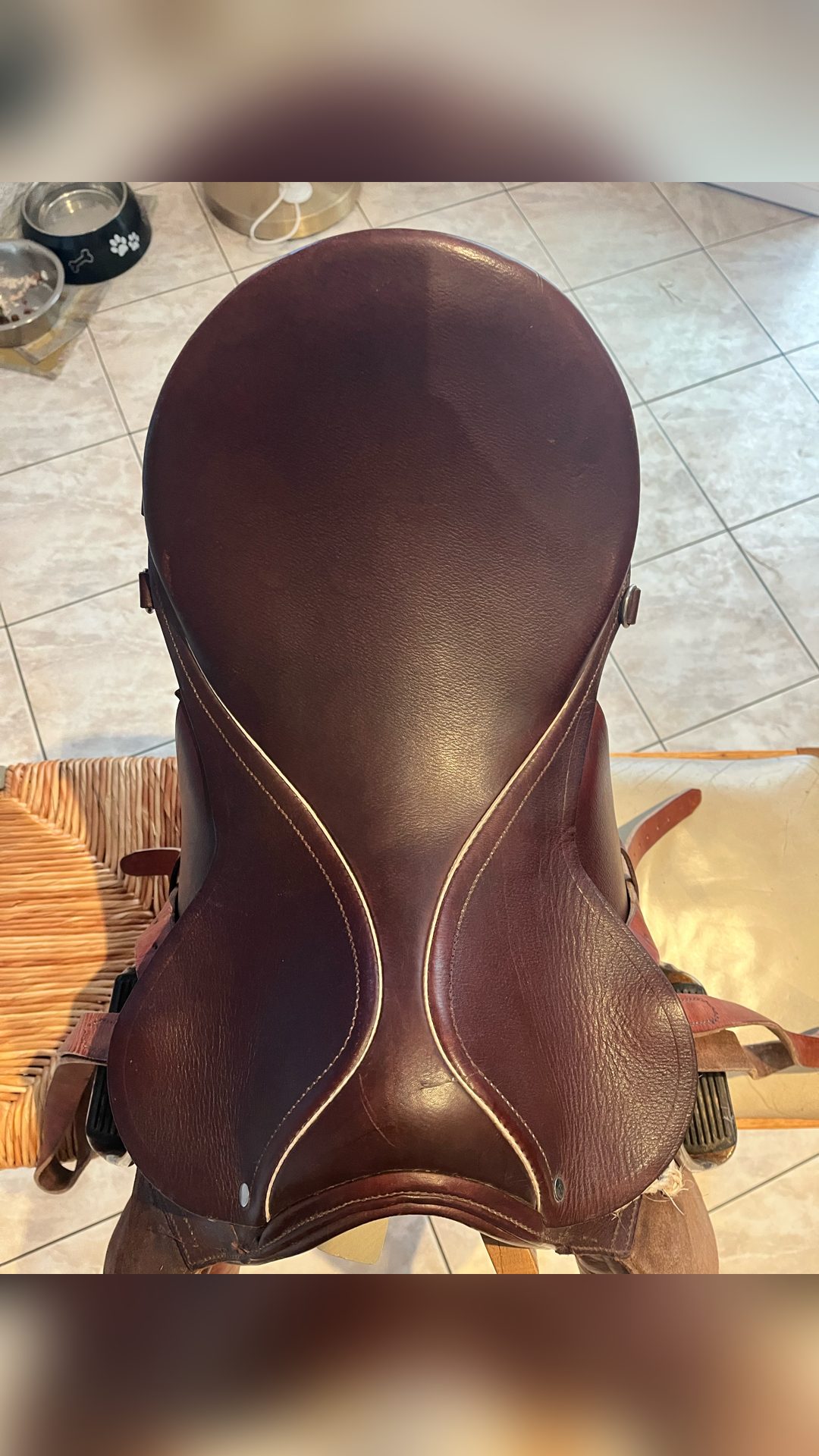 Selle mixte taille 18, média 5