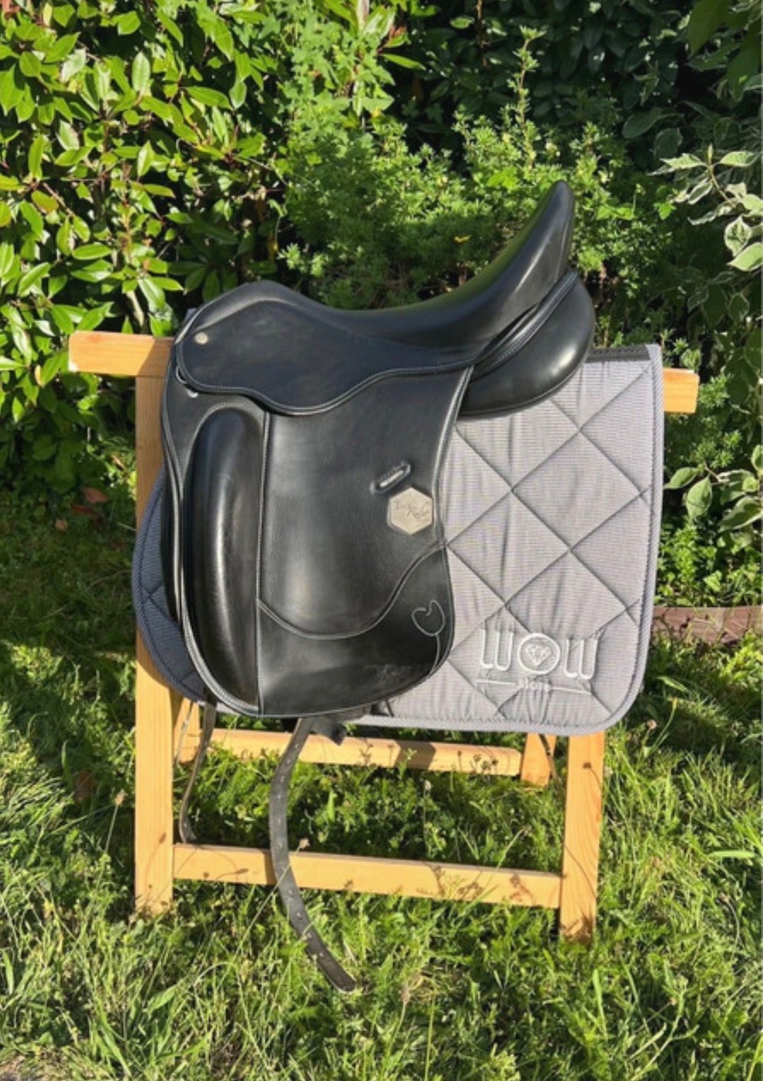 Selle de dressage Time rider, média 2