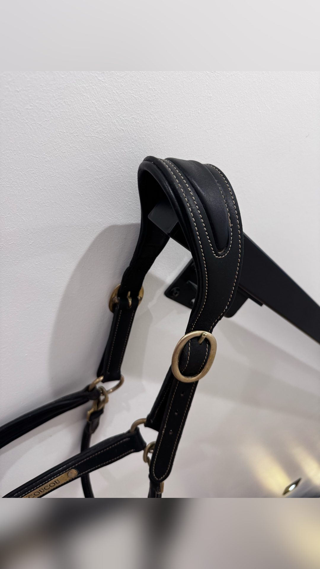 Licol en cuir noir TdeT, média 2