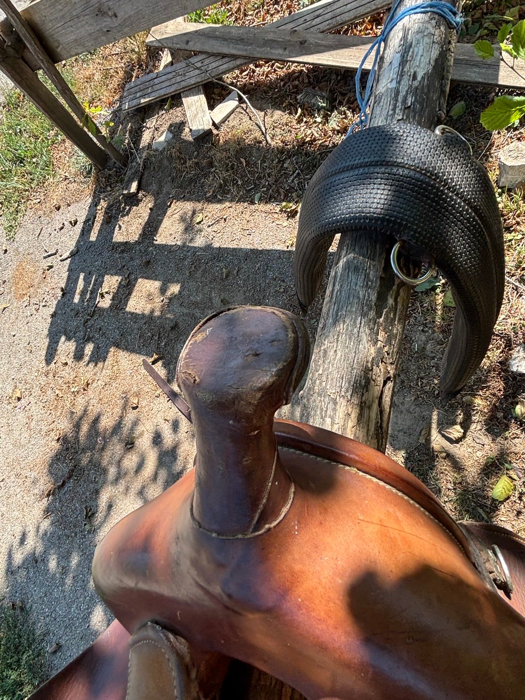 Selle western, média 3