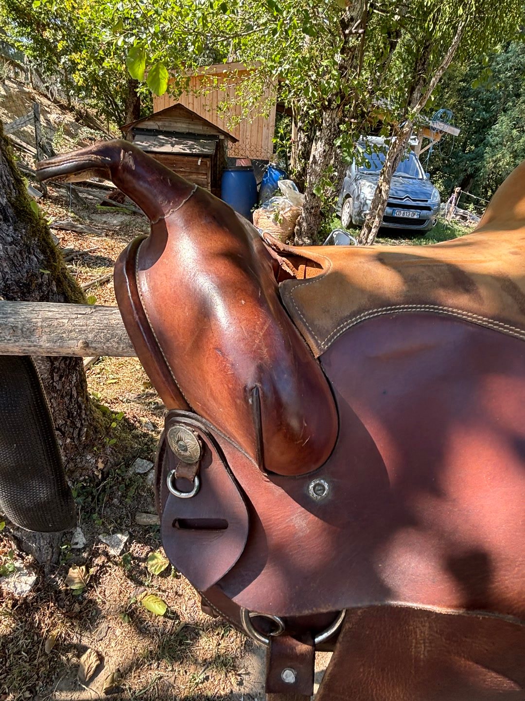 Selle western, média 5