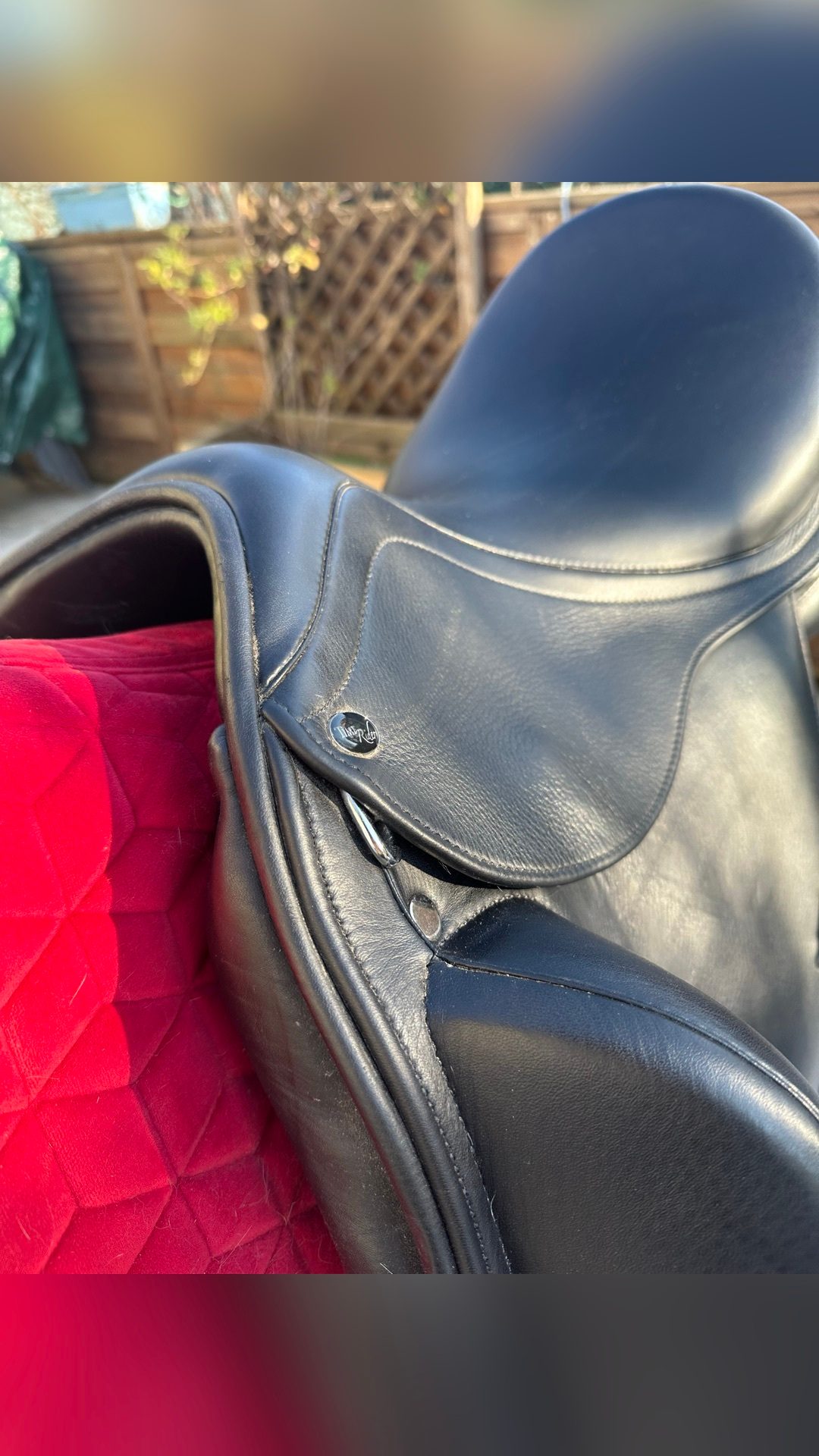 Selle de dressage, média 3