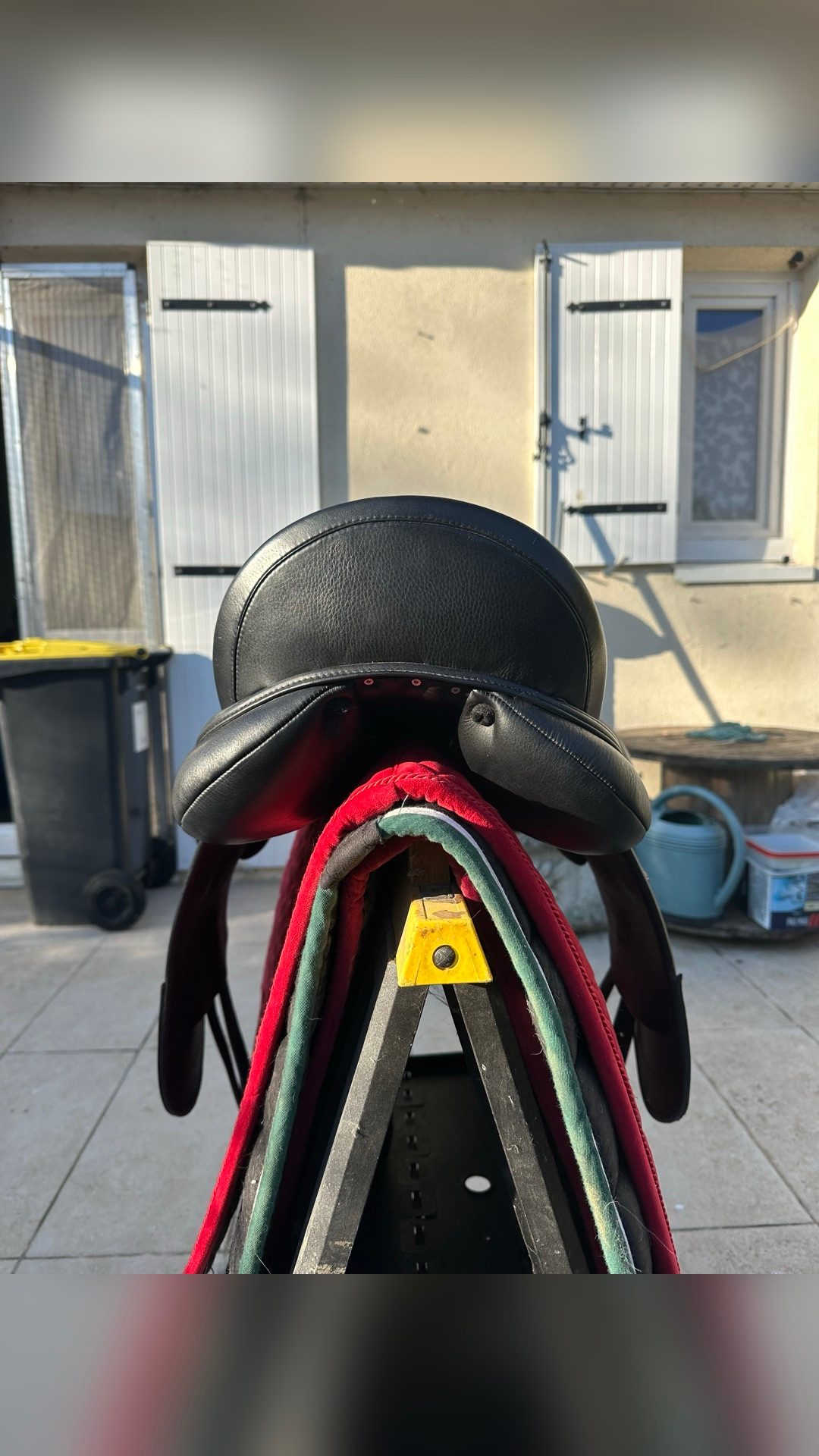 Selle de dressage, média 5