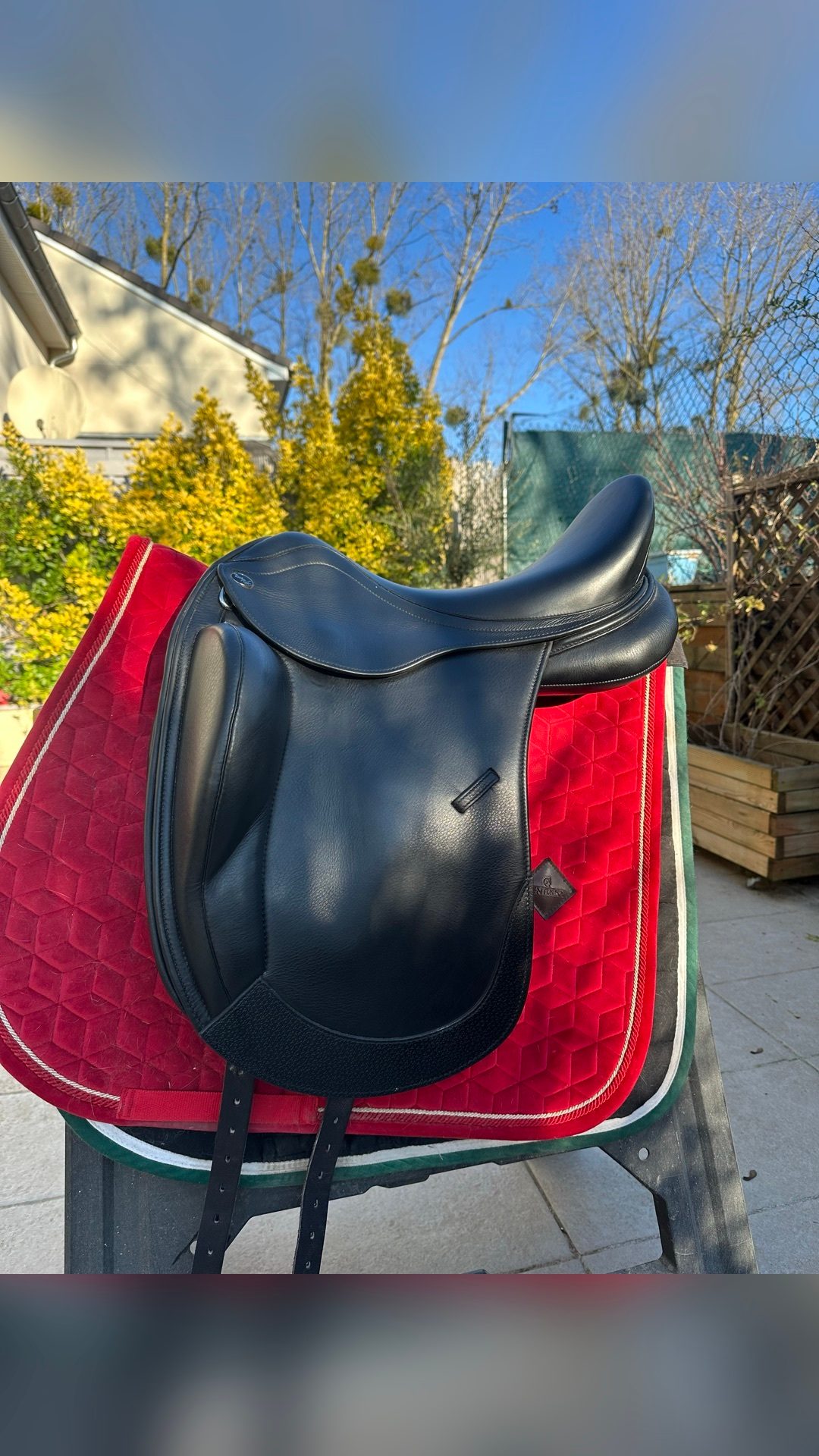 Selle de dressage, média 4