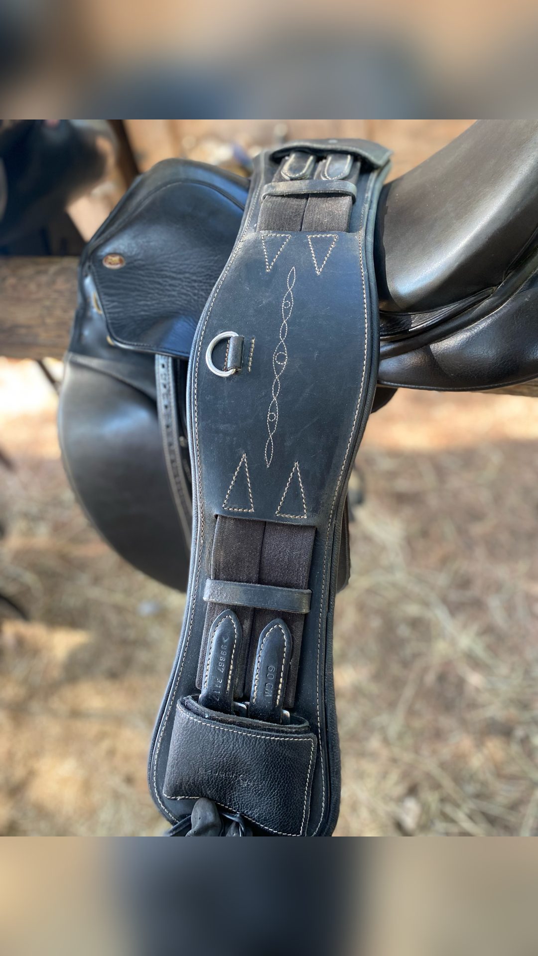 Selle de dressage, média 5