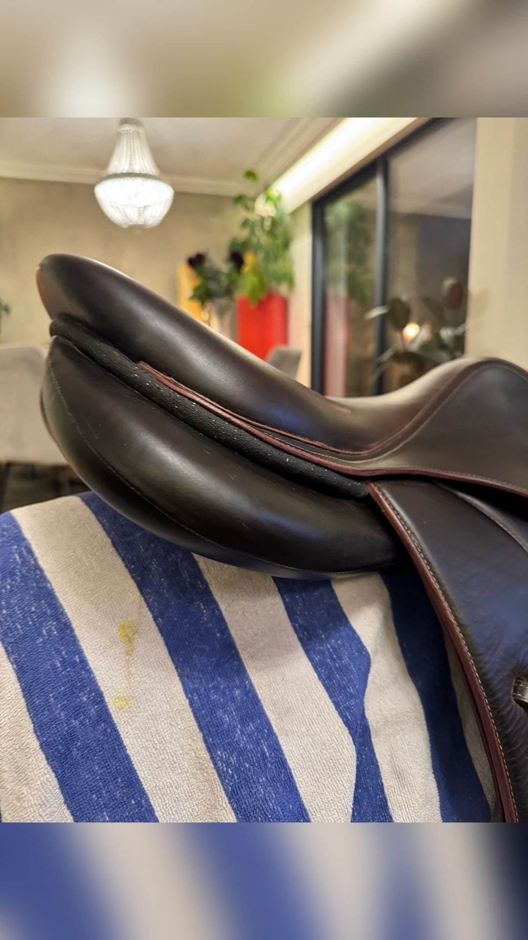 Selle Devoucoux Biarritz S 17,5, média 4