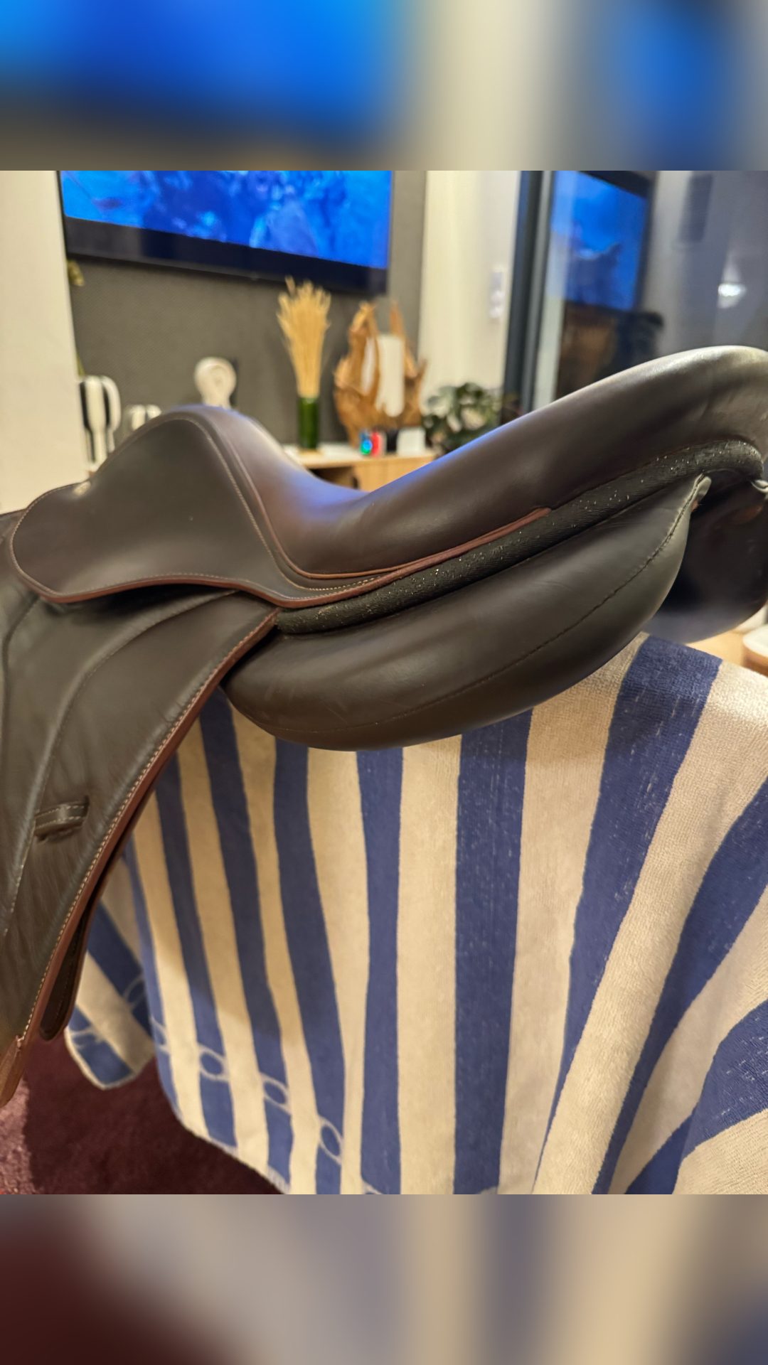 Selle Devoucoux Biarritz S 17,5, média 7