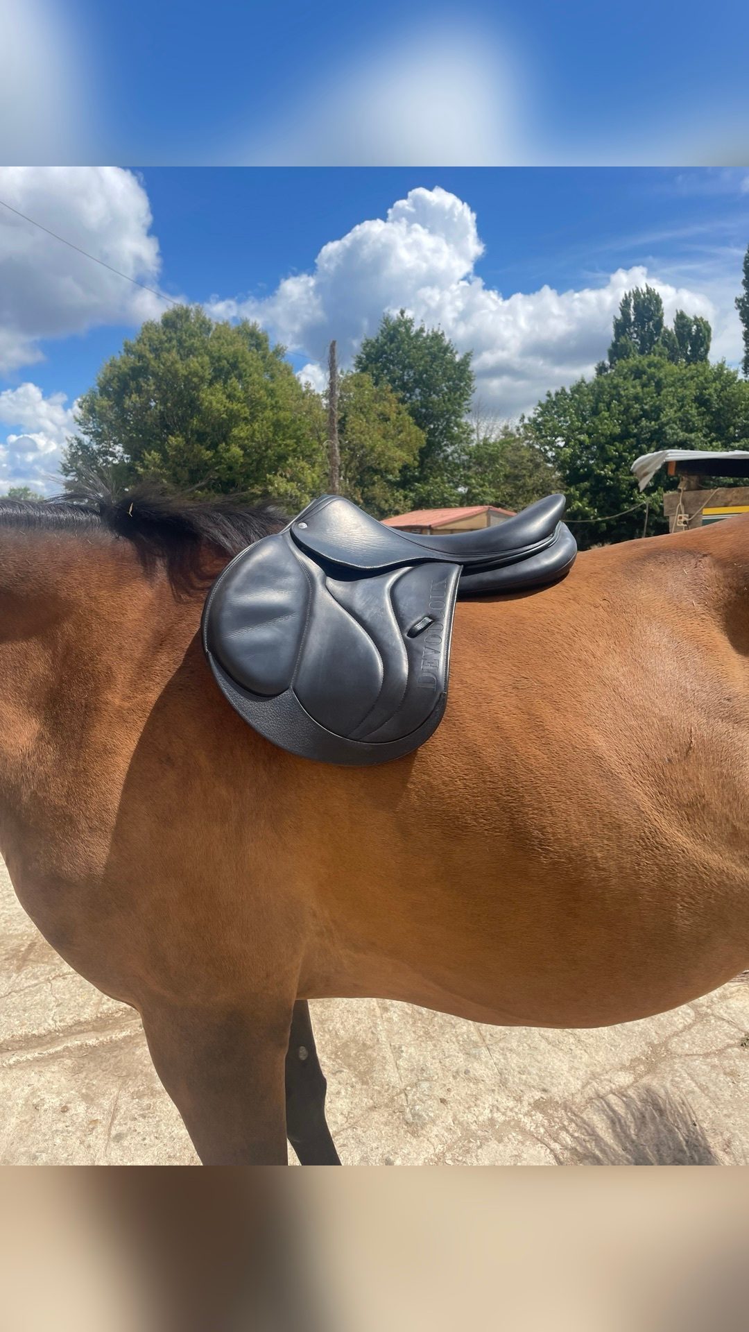 Selle Devoucoux, média 5