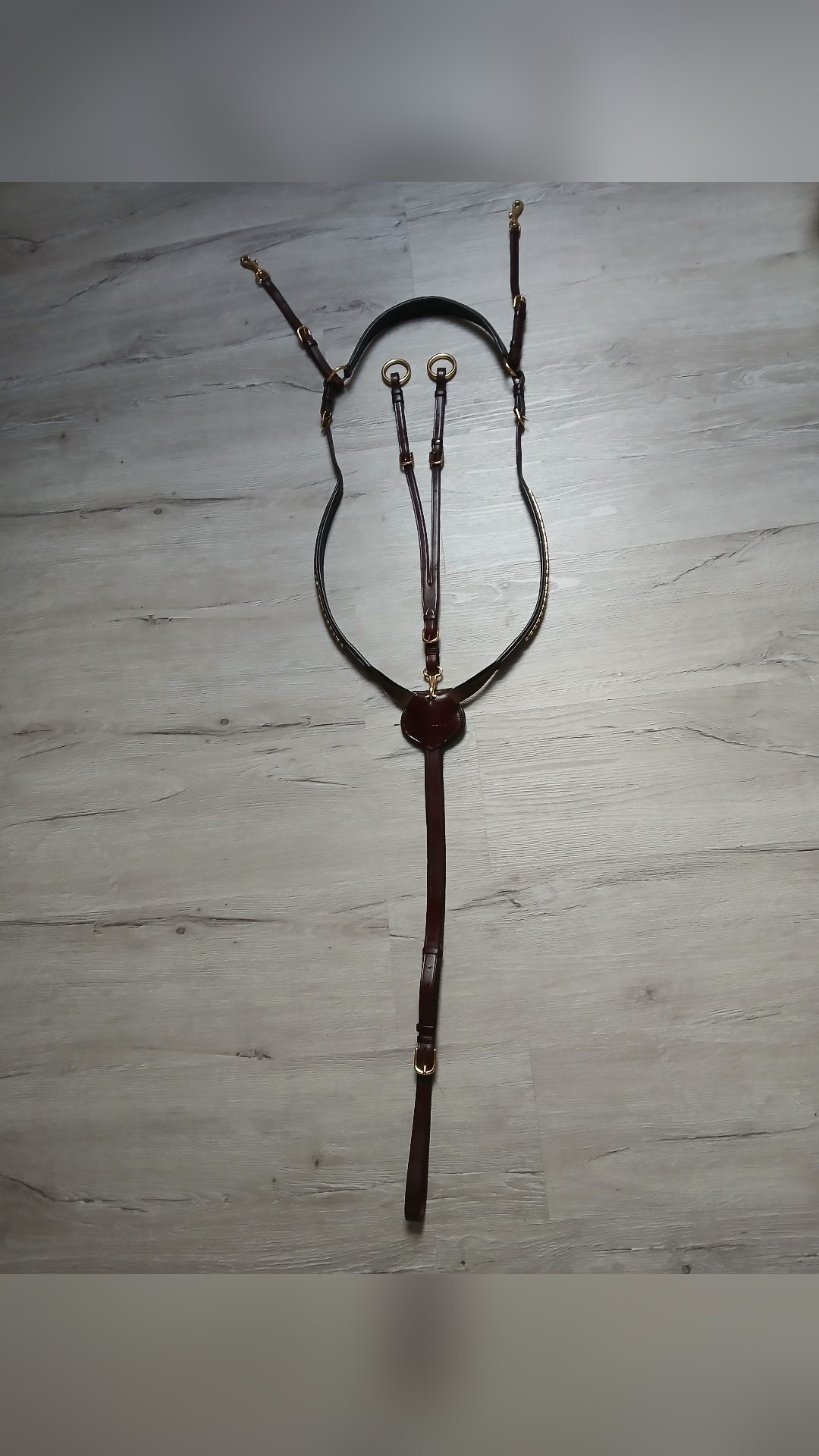 Collier de chasse + Martingale Clincher, média 2