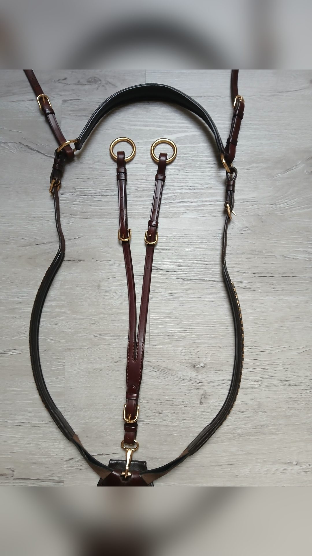 Collier de chasse + Martingale Clincher, média 3