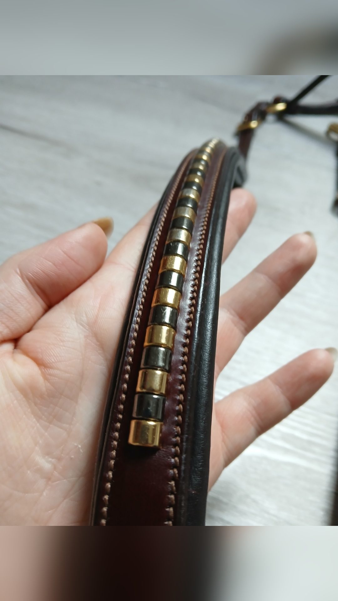 Collier de chasse + Martingale Clincher, média 4